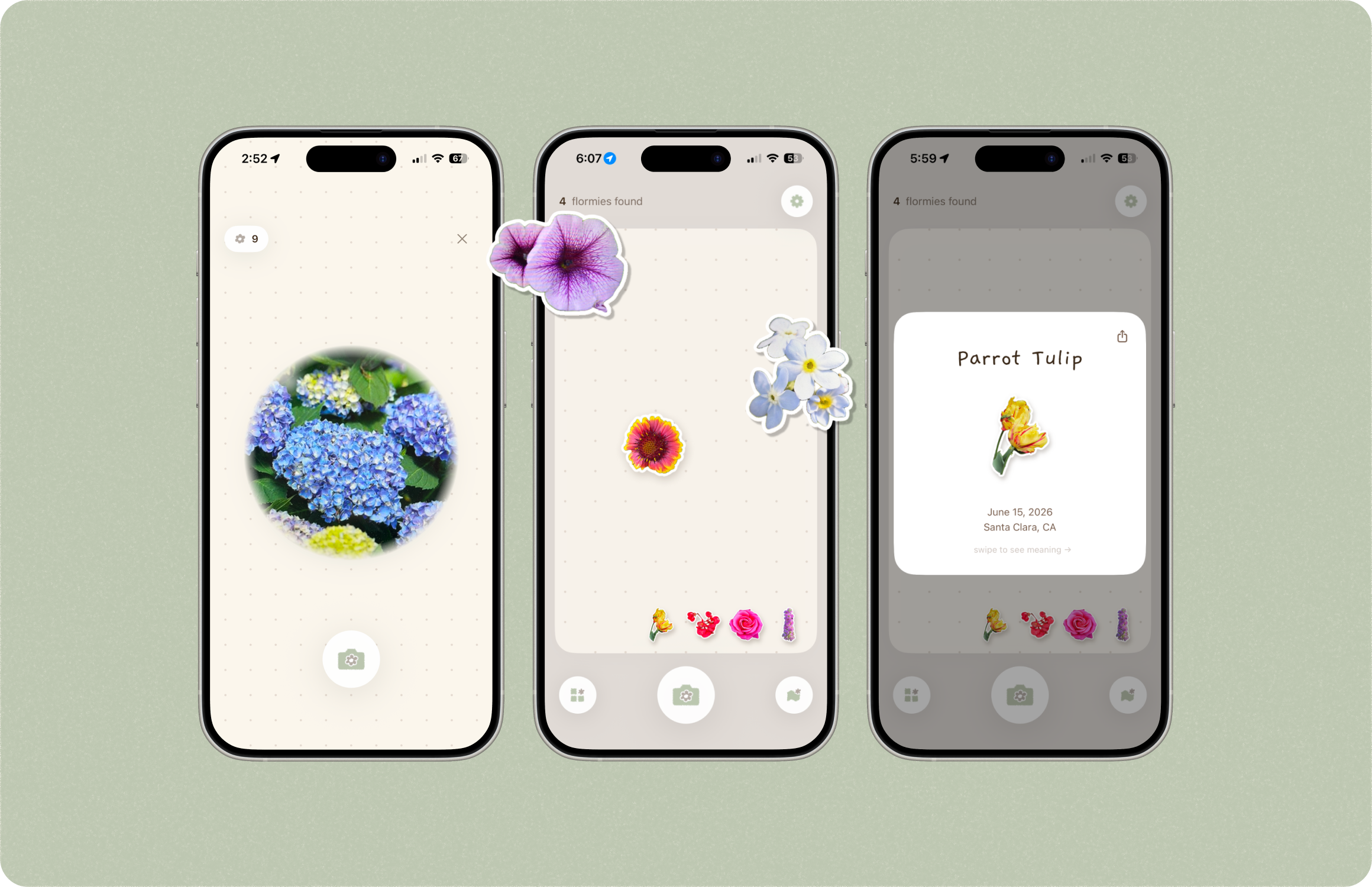 flormie app preview